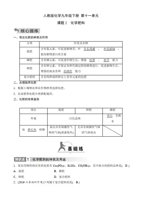 人教版化学九年级下册知识点及课时测  第十一单元2  化学肥料