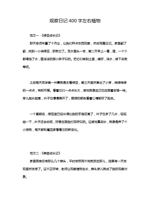 观察日记400字左右植物