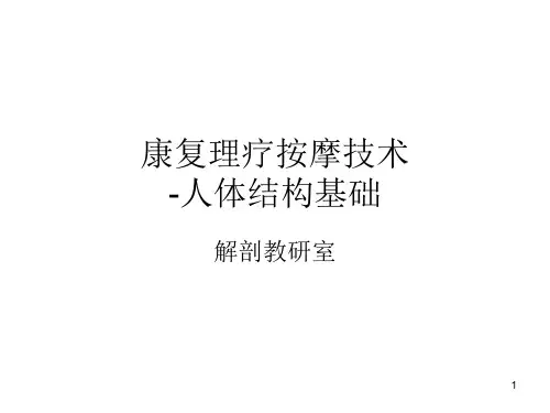 康复理疗按摩技术PPT课件