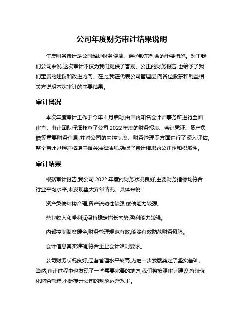 公司年度财务审计结果说明