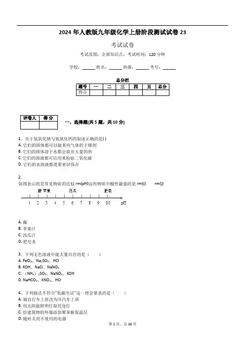 2024年人教版九年级化学上册阶段测试试卷23