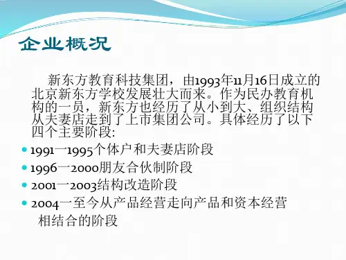 新东方创业案例