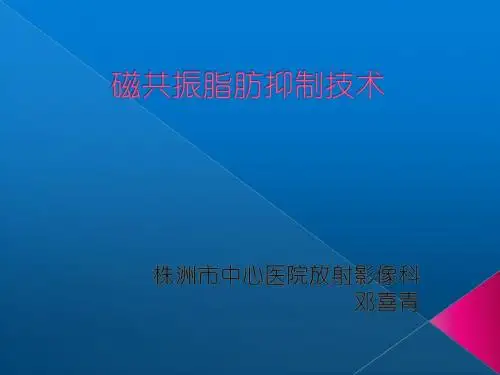 脂肪抑制技术