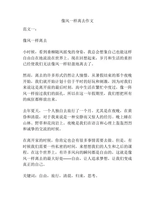 像风一样离去作文