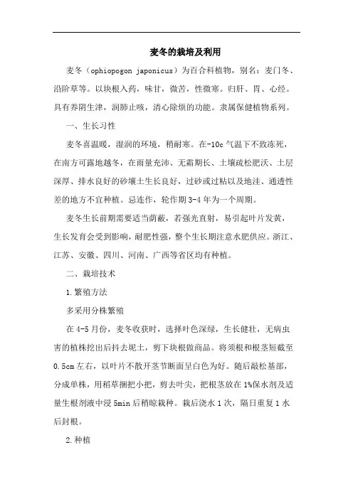 麦冬的栽培及利用