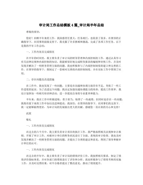 审计局工作总结模板4篇_审计局半年总结