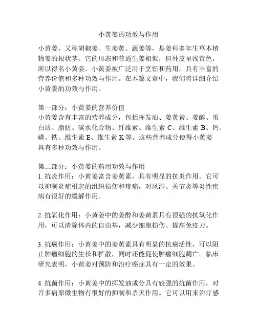 小黄姜的功效与作用