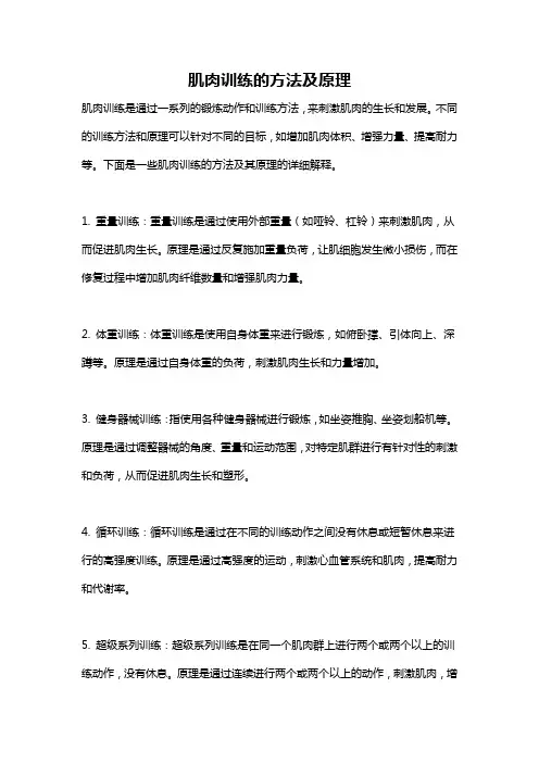 肌肉训练的方法及原理