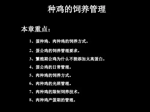 种鸡的饲养管理