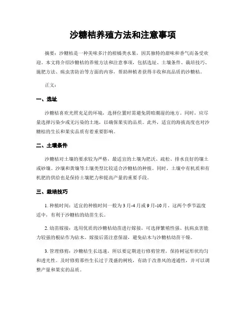 沙糖桔养殖方法和注意事项