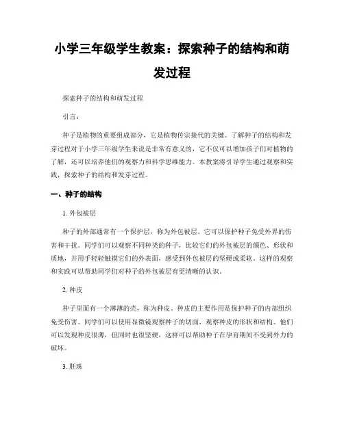 小学三年级学生教案：探索种子的结构和萌发过程