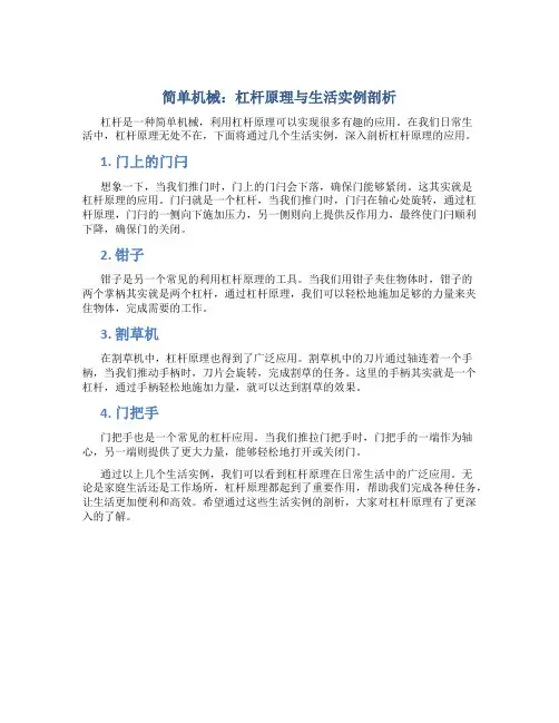 简单机械：杠杆原理与生活实例剖析