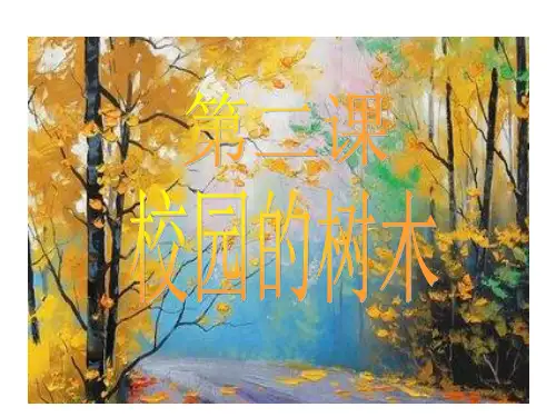 教科版《校园的树木》PPT课件完美1
