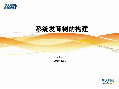 系统发育树的构建-lxf
