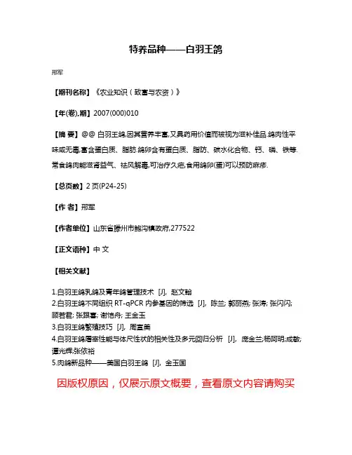 特养品种——白羽王鸽