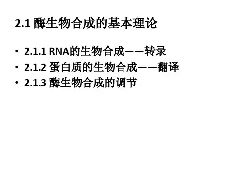 酶的发酵生产精品PPT课件