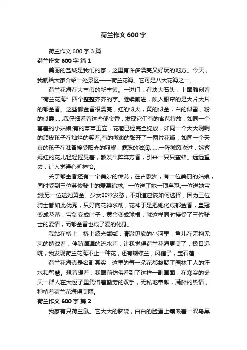 荷兰作文600字3篇