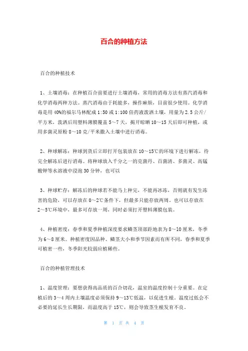 百合的种植方法