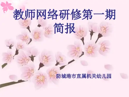 教师网络研修第一期简报PPT课件