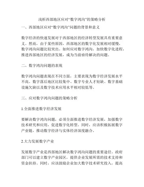 浅析西部地区应对“数字鸿沟”的策略分析