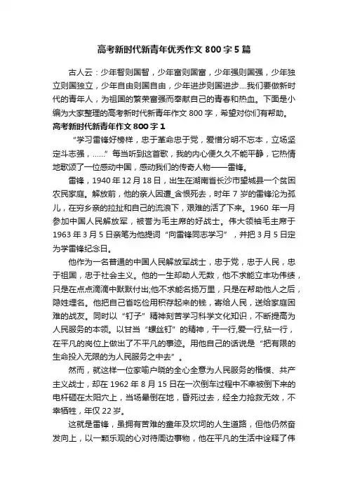 高考新时代新青年优秀作文800字5篇