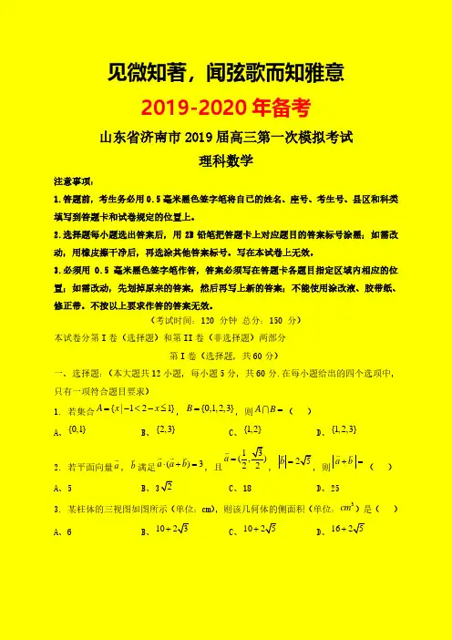2019-2020年济南一模：山东省济南市2019届高三第一次模拟考试数学(理)试题-附答案精品