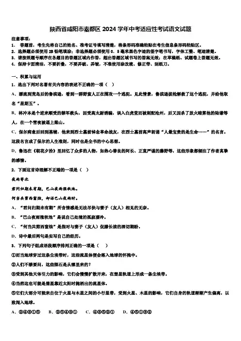 陕西省咸阳市秦都区2024学年中考适应性考试语文试题含解析