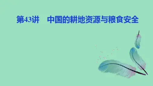 新教材高中地理人教版 精品课件中国的耕地资源与粮食安全