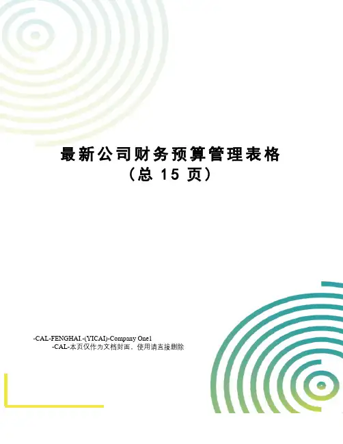 公司财务预算管理表格