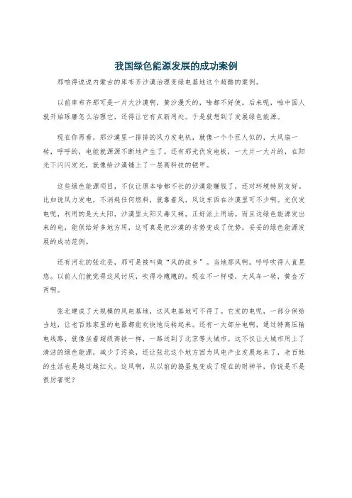 我国绿色能源发展的成功案例