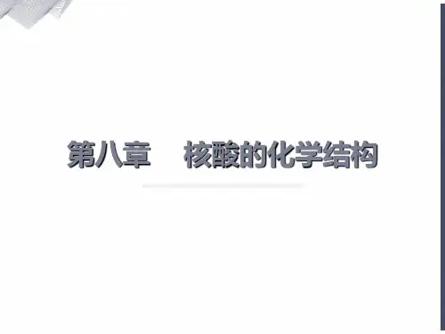 动物生化第八章核酸的化学结构