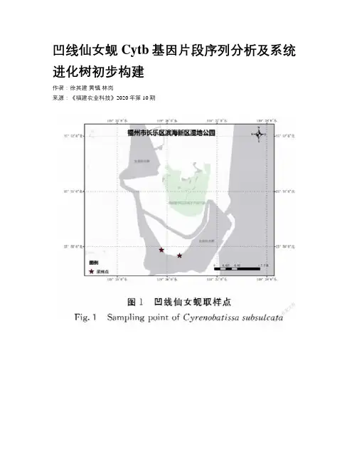 凹线仙女蚬Cytb基因片段序列分析及系统进化树初步构建