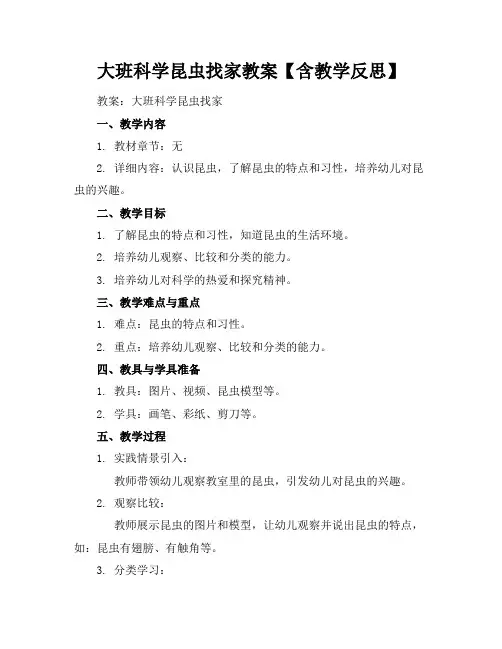 大班科学昆虫找家教案【含教学反思】