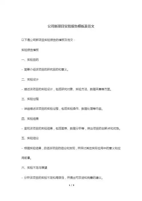 公司新项目实验报告模板及范文