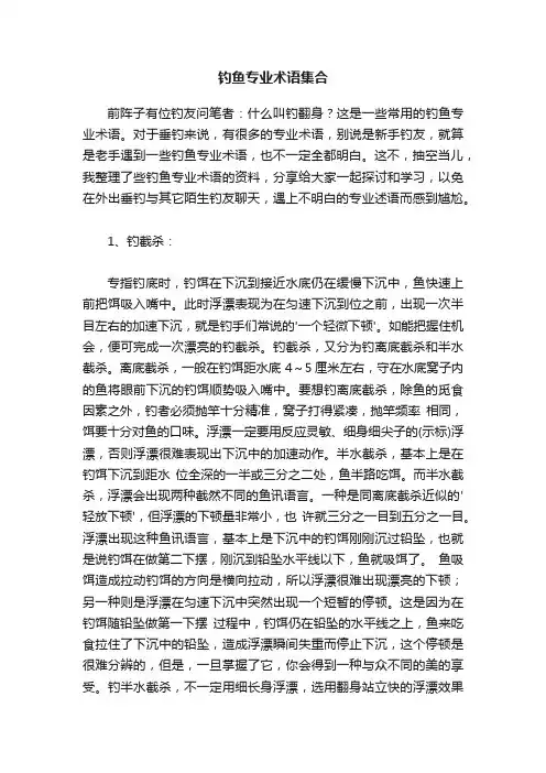 钓鱼专业术语集合