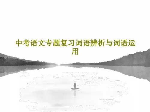 中考语文专题复习词语辨析与词语运用共47页PPT