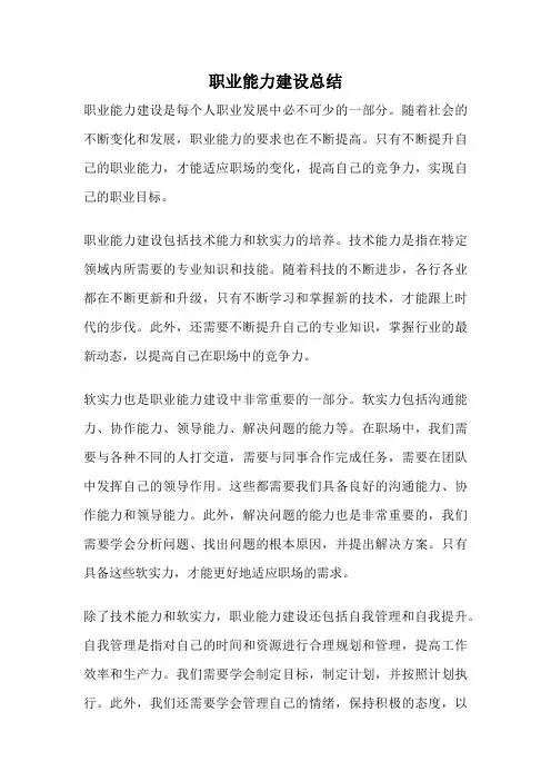 职业能力建设总结