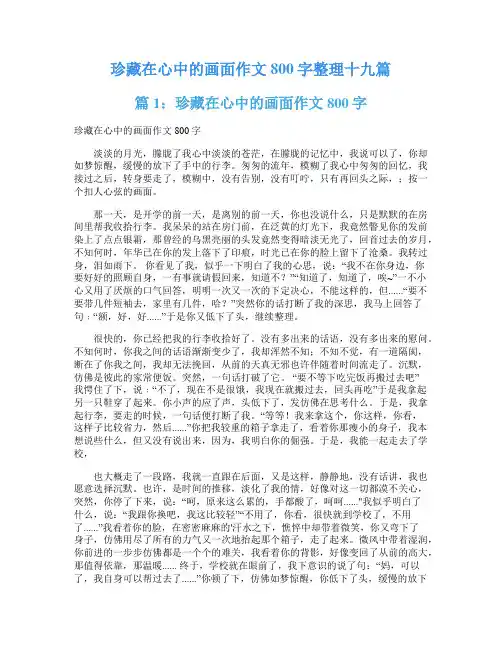 珍藏在心中的画面作文800字整理十九篇