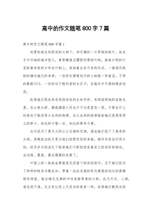 高中的作文随笔800字7篇