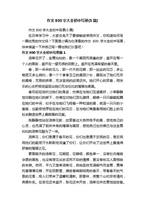 作文800字大全初中写景（5篇）