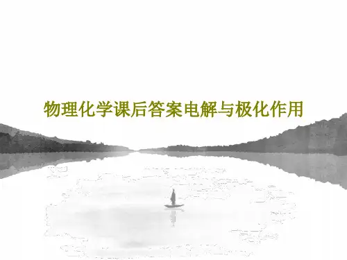 物理化学课后答案电解与极化作用共38页文档
