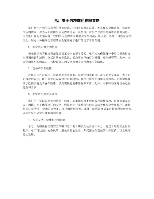 电厂安全的精细化管理策略