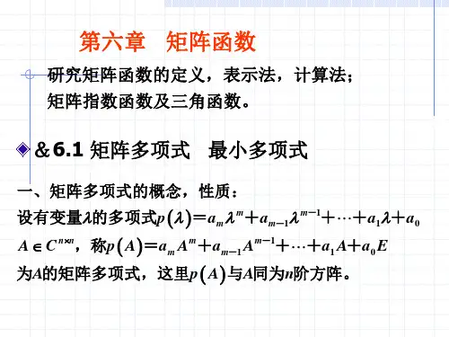 矩阵分析课件-第六章