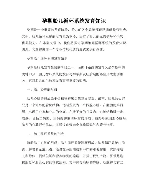 孕期胎儿循环系统发育知识