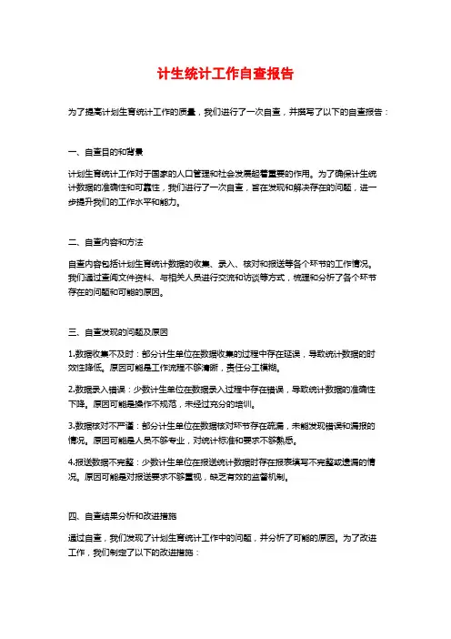 计生统计工作自查报告 (2)