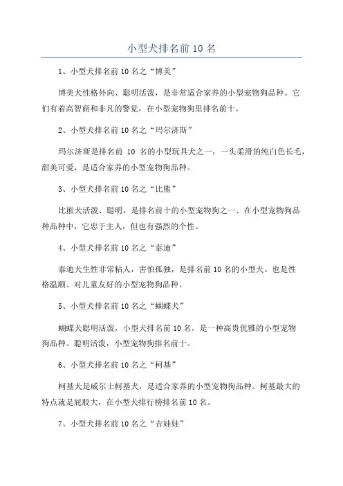 小型犬排名前10名