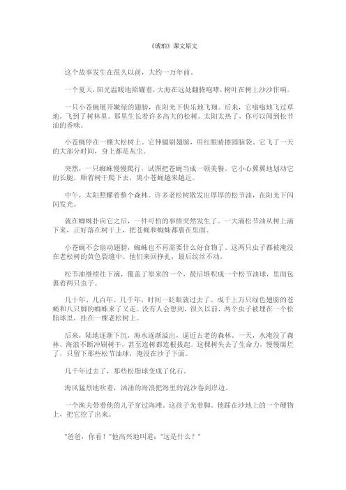 《琥珀》课文原文
