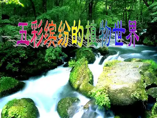 苏教生物八上《14第1节五彩缤纷的植物世界》课件