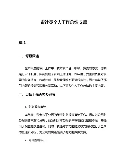 审计员个人工作总结5篇