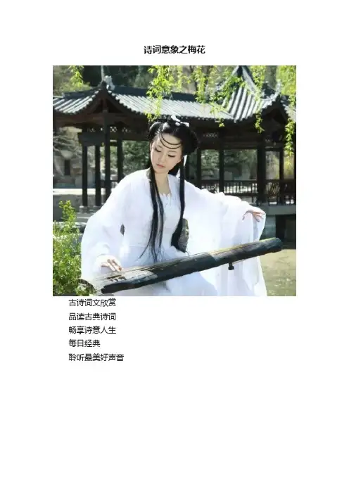 诗词意象之梅花